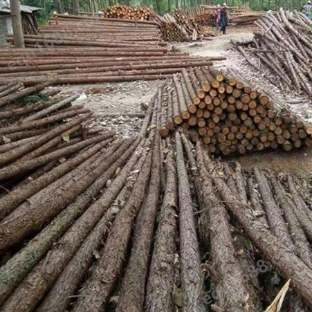 胜洁木业 园林绿化杉木桩施工 无锡杉木桩施工