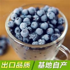 速冻冷冻单冻IQF蓝莓 混合莓 果汁果酱供应 脱水蔬菜加工