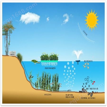 河道治理 水生态修复 水环境生态治理 博润达 资质齐全