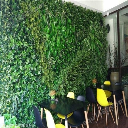 办公室绿植墙体 植物主题墙 金森