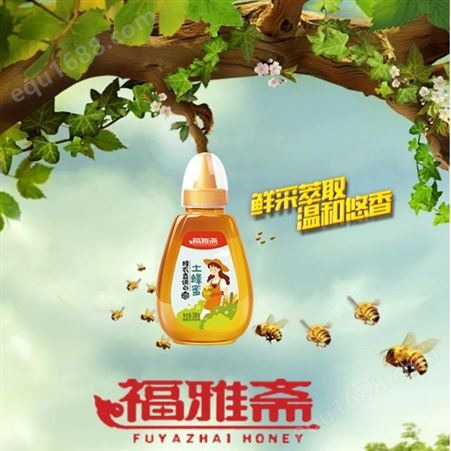 土蜂蜜时尚系列500g瓶装方便装蜂农直供冲调饮品