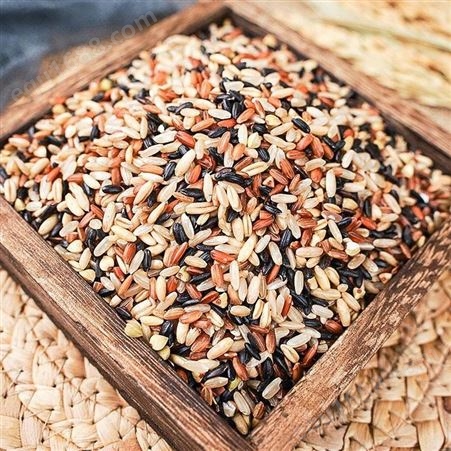 溢田九色糙米粗粮米1.56kg 和粮农业 九色粗粮米