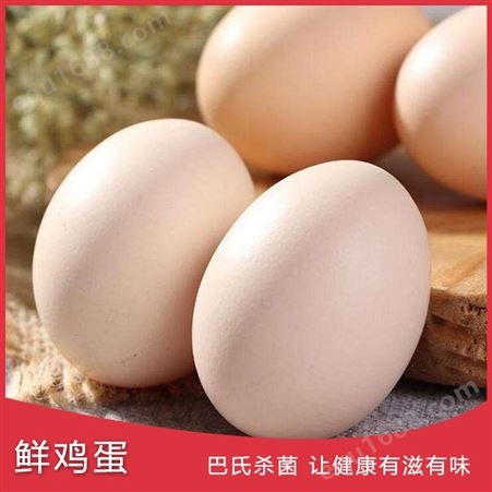 新鲜鸡蛋 土鸡蛋 散养五谷喂食 蛋主管 营养丰富