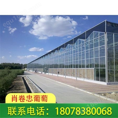 桂林花卉大棚_玻璃温室大棚工程常年承接