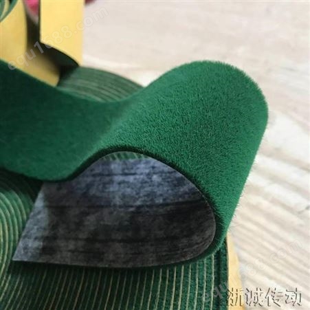 绿绒带 绿毛包辊刺皮