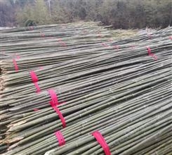 菜架竹 篱笆竹 2022年10月份大量上市了原产地直发 绿化支撑竹
