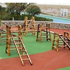 户外幼儿园攀爬架 木质组合设施 环保清漆 健康安全 蕴力康体