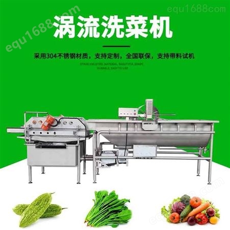 供应涡流洗菜机JY-4200不锈钢臭氧消毒蔬菜清洗机 果蔬清洗机